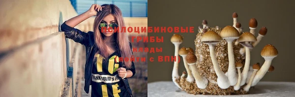 гидропоника Армянск